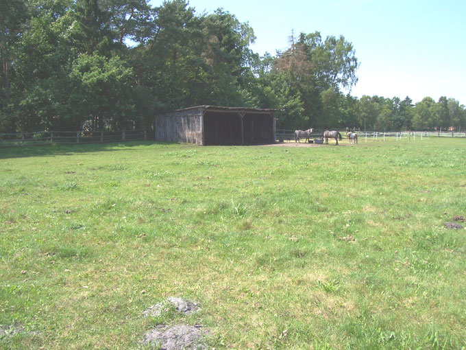Koppel mit Offenstall